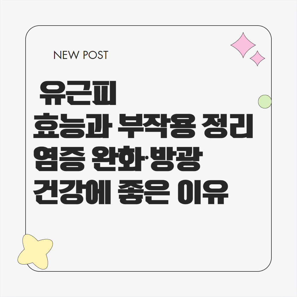 유근피 효능과 부작용, 염증 완화, 방광 건강에 좋은 이유