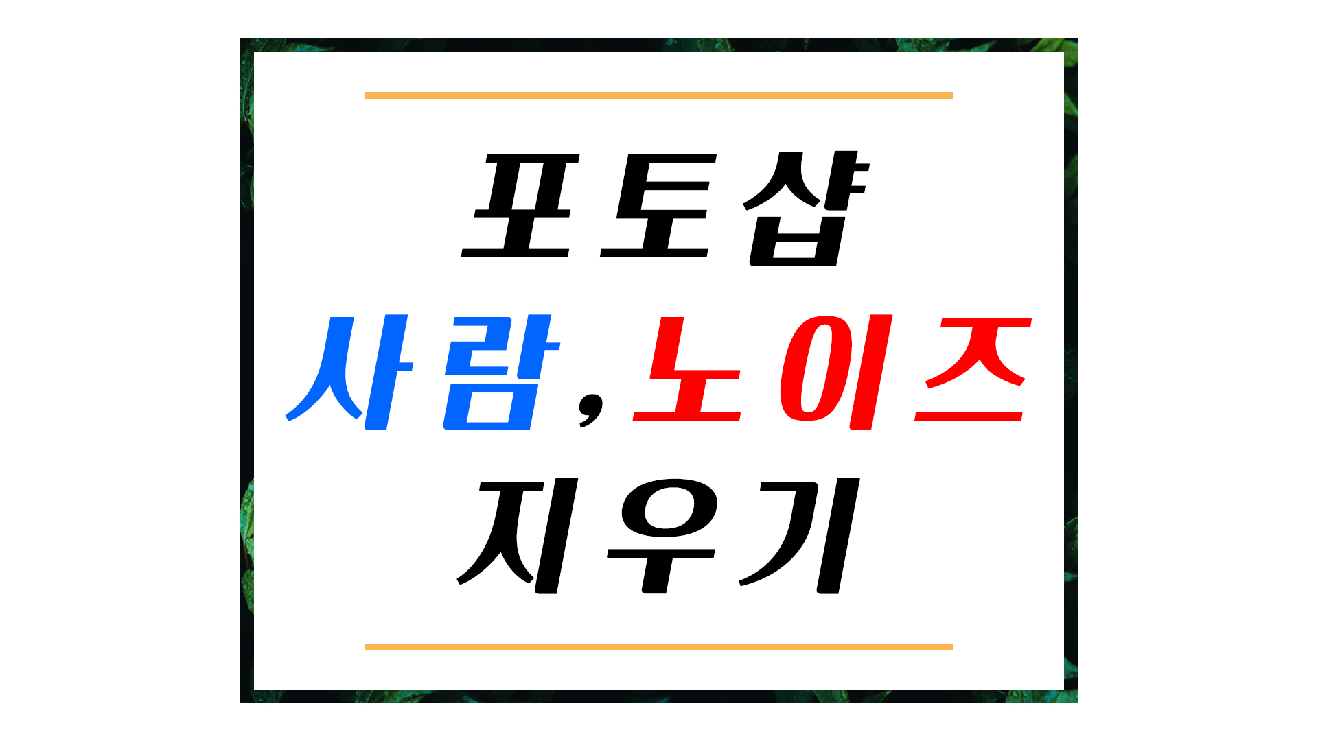  딱 필요한 부분만 포토샵으로 사람, 배경, 노이즈 지우기