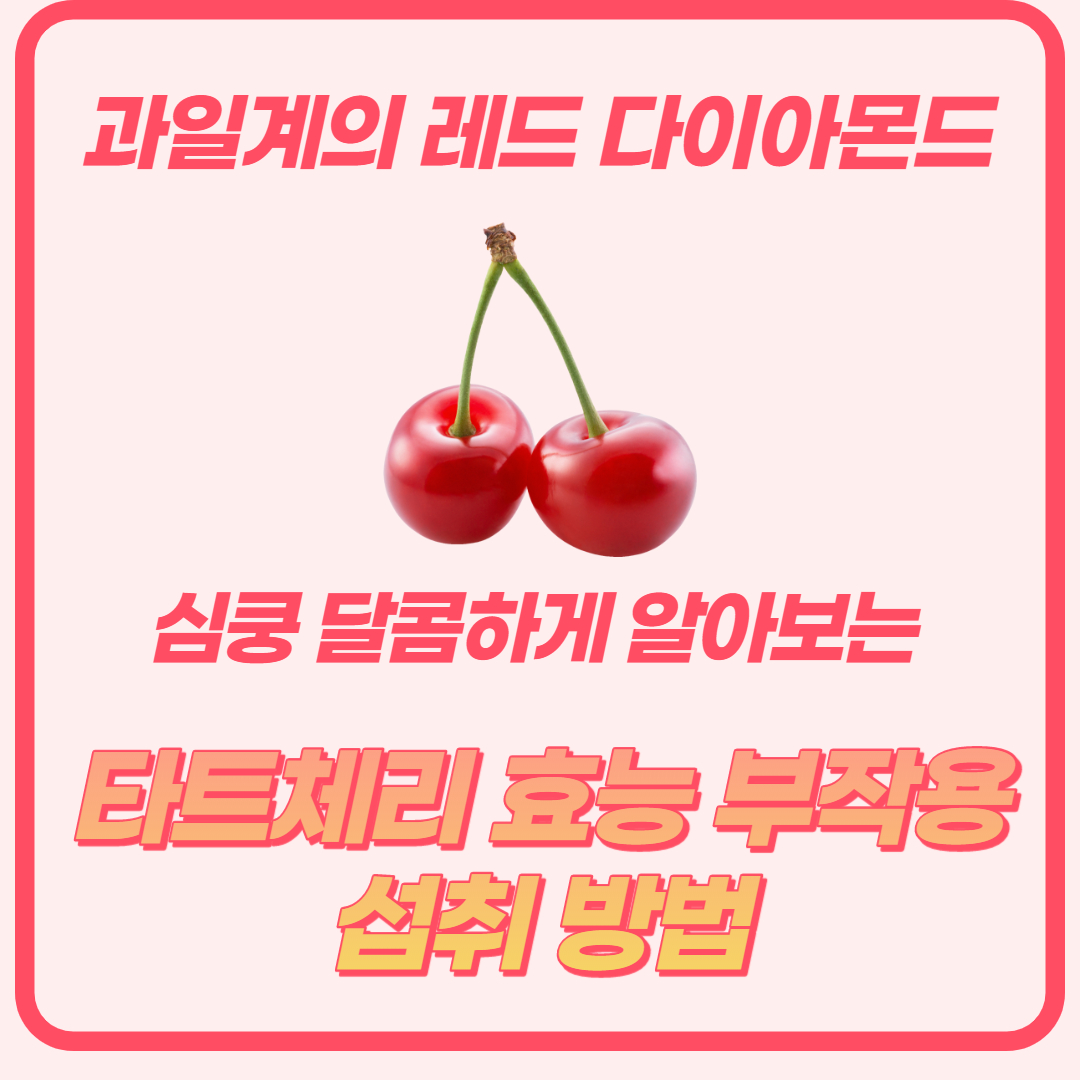  타트체리 효능과 부작용, 섭취 방법 알아보기