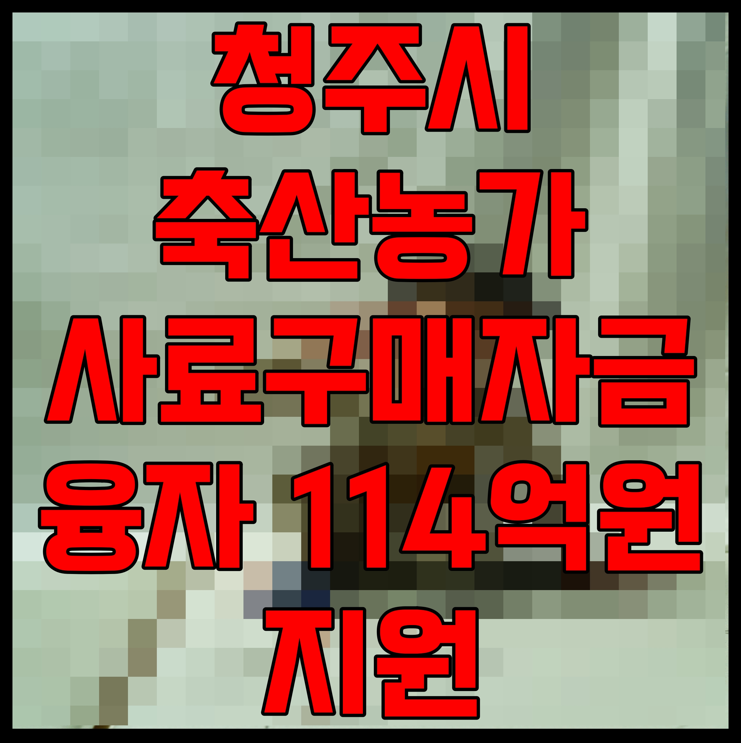  청주시 축산농가 사료 구매자금 융자 114억원 지원