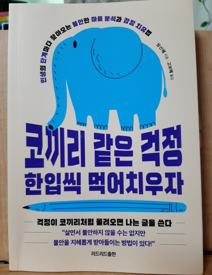  코끼리 같은 걱정 한입씩 먹어치우자 리뷰