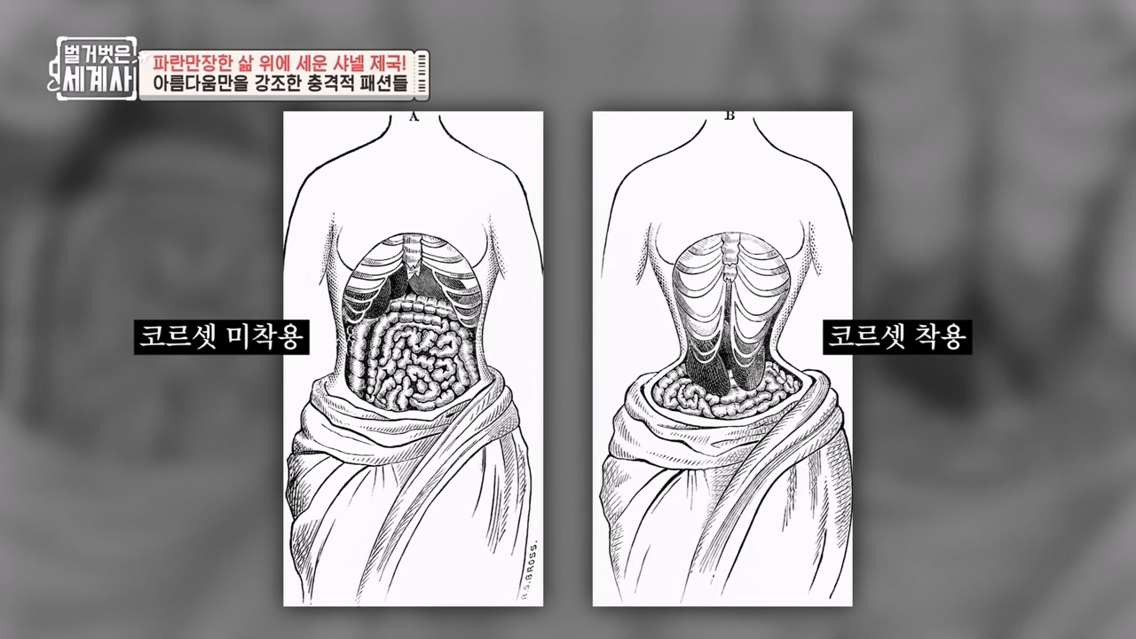 벌거벗은 세계사.E110.230802p-NEXT.mp4_20240217_182230.541.jpg