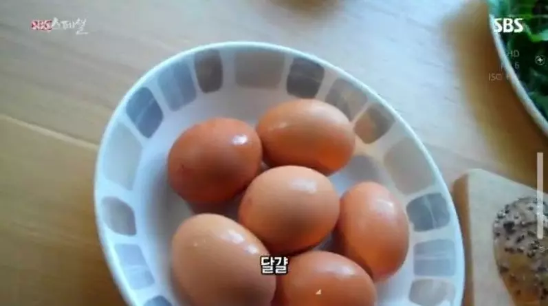 고지방 식단