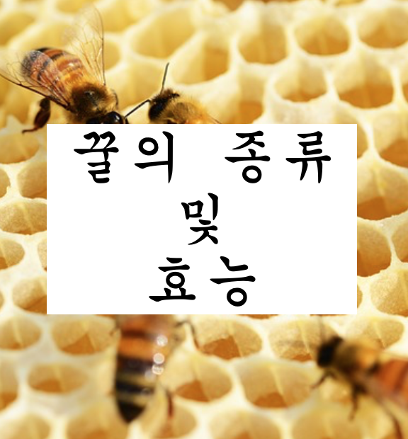  꿀의 종류와 효능