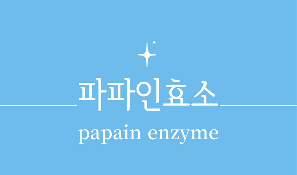 &#39;파파인효소(papain enzyme)&#39;