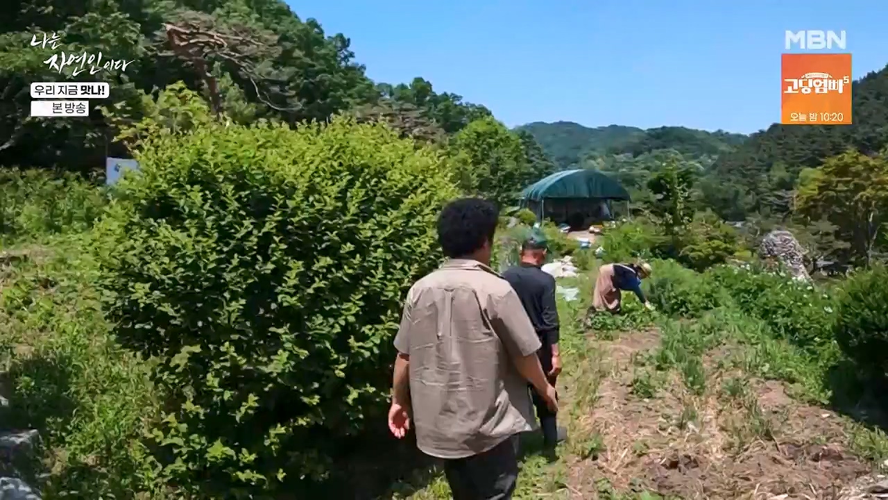 나는 자연인이다.E609.240613p-NEXT.mp4_20240613_195114.386.jpg