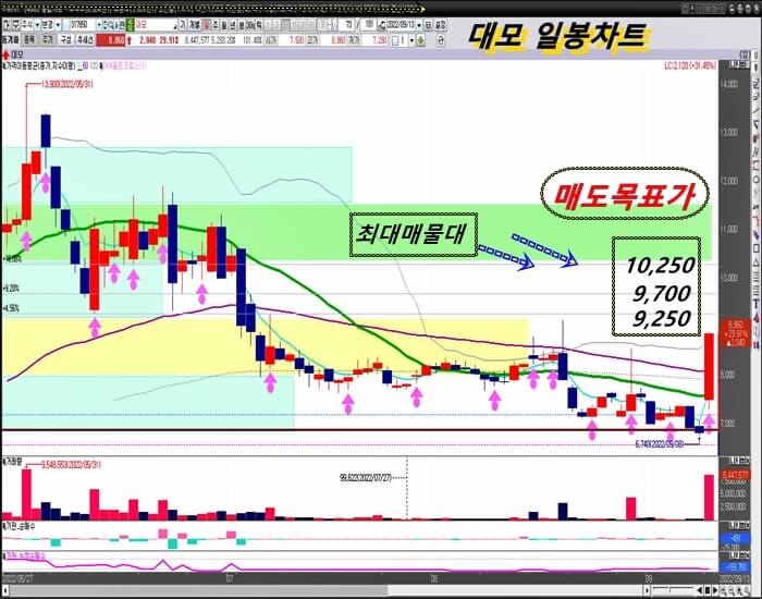 대모-일-봉-차트