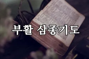 부활 삼종기도 일반 삼종기도 차이_8