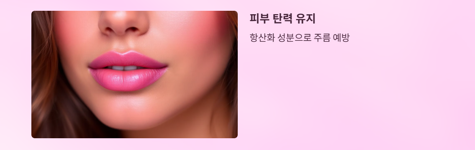 오디효능10가지