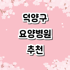 고양 덕양구 요양병원