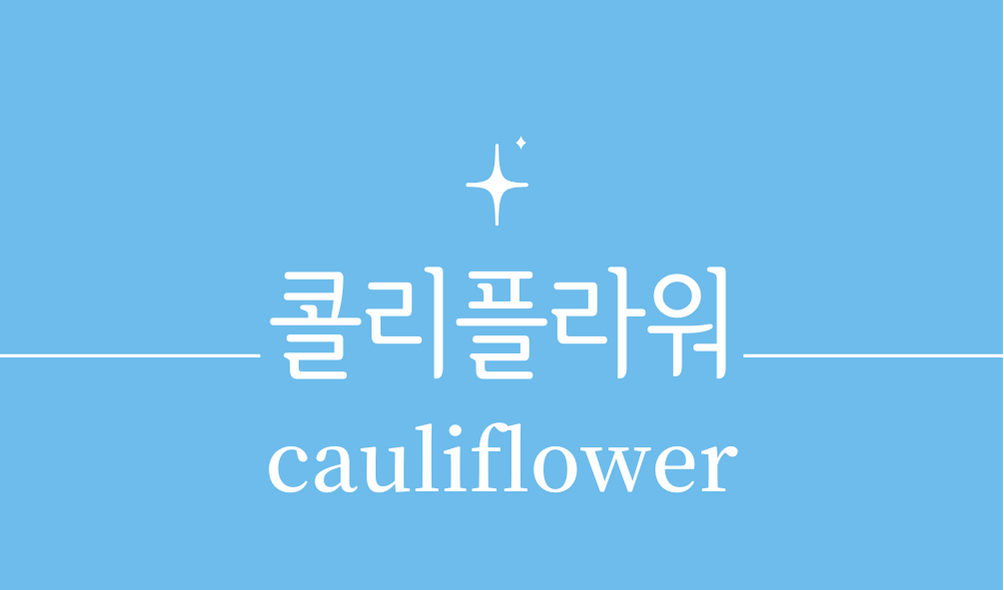 &#39;콜리플라워(cauliflower)&#39;