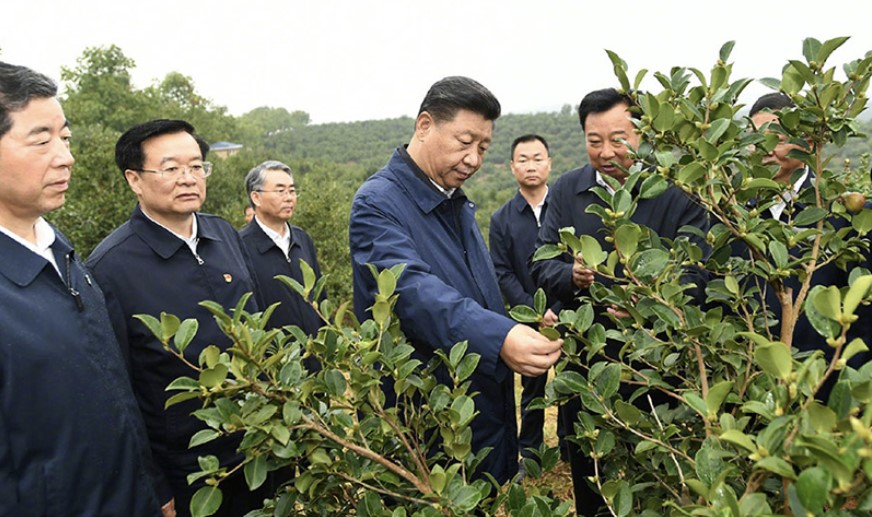 코끼리수입코너 이미지