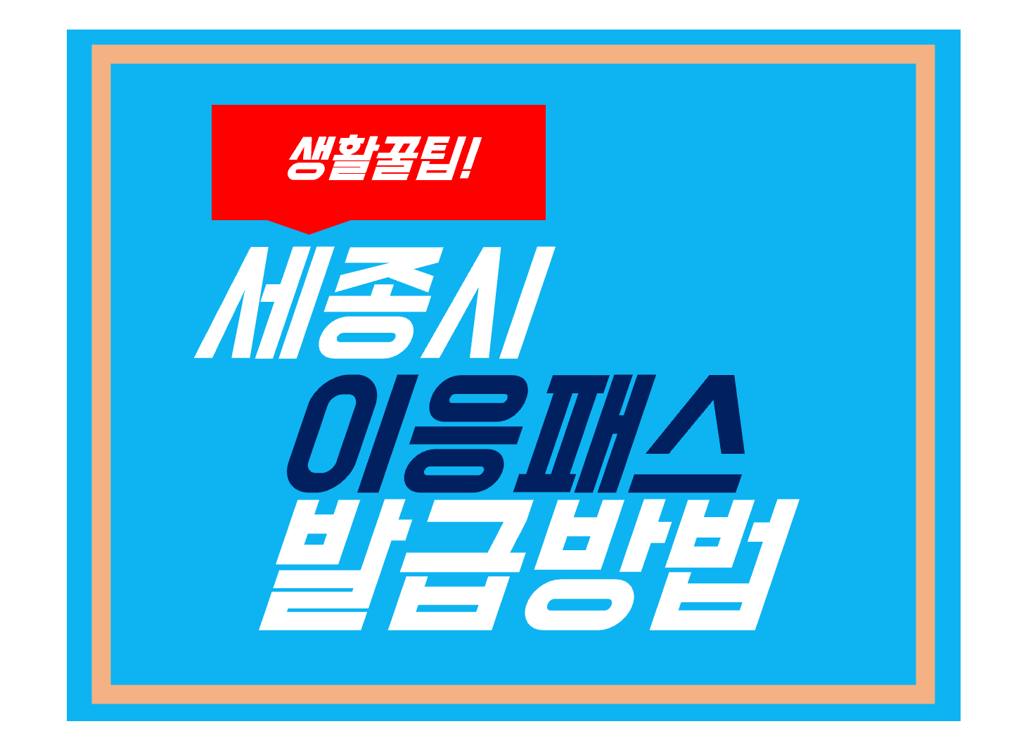 세종시 이응패스