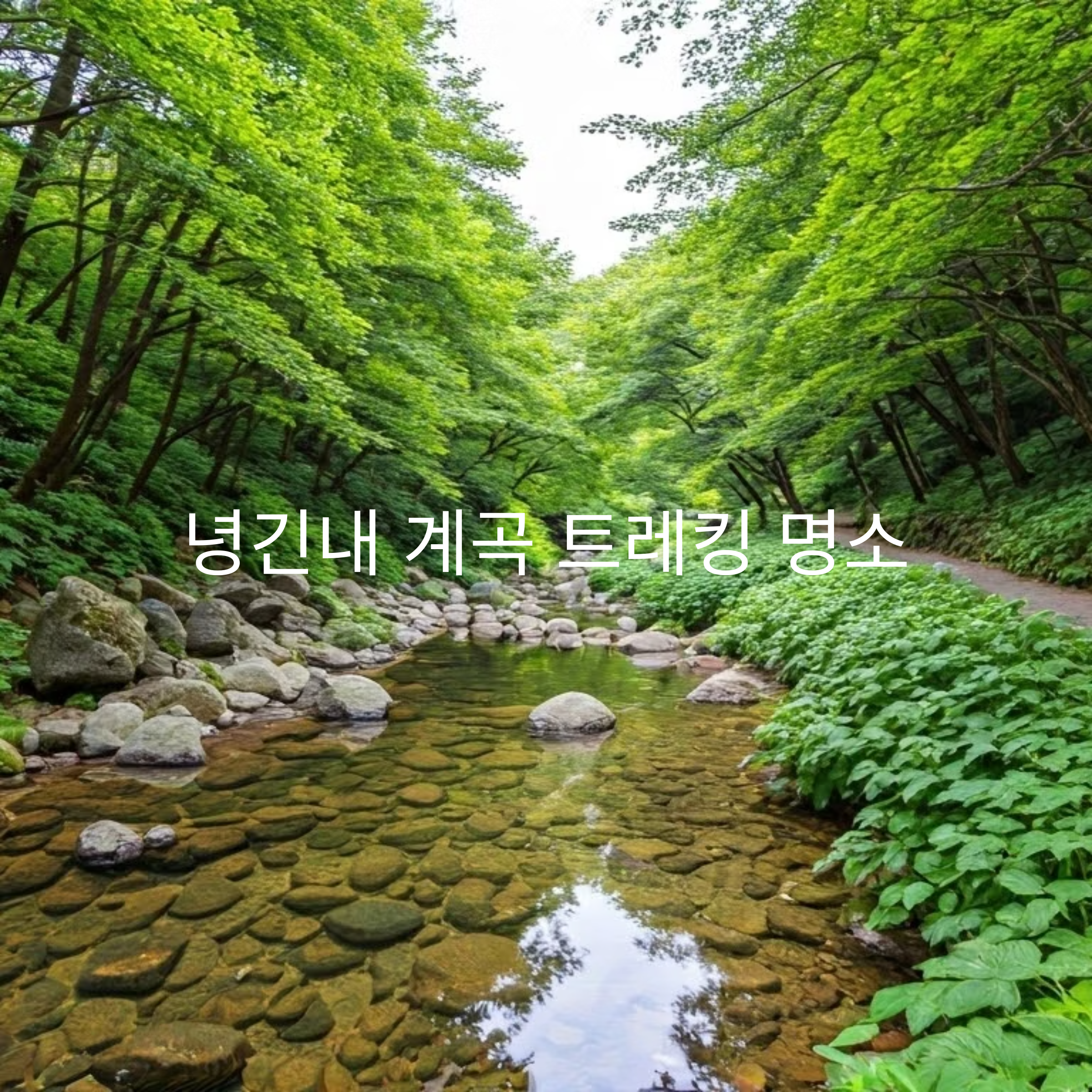 제주 녕긴내 계곡 트레킹