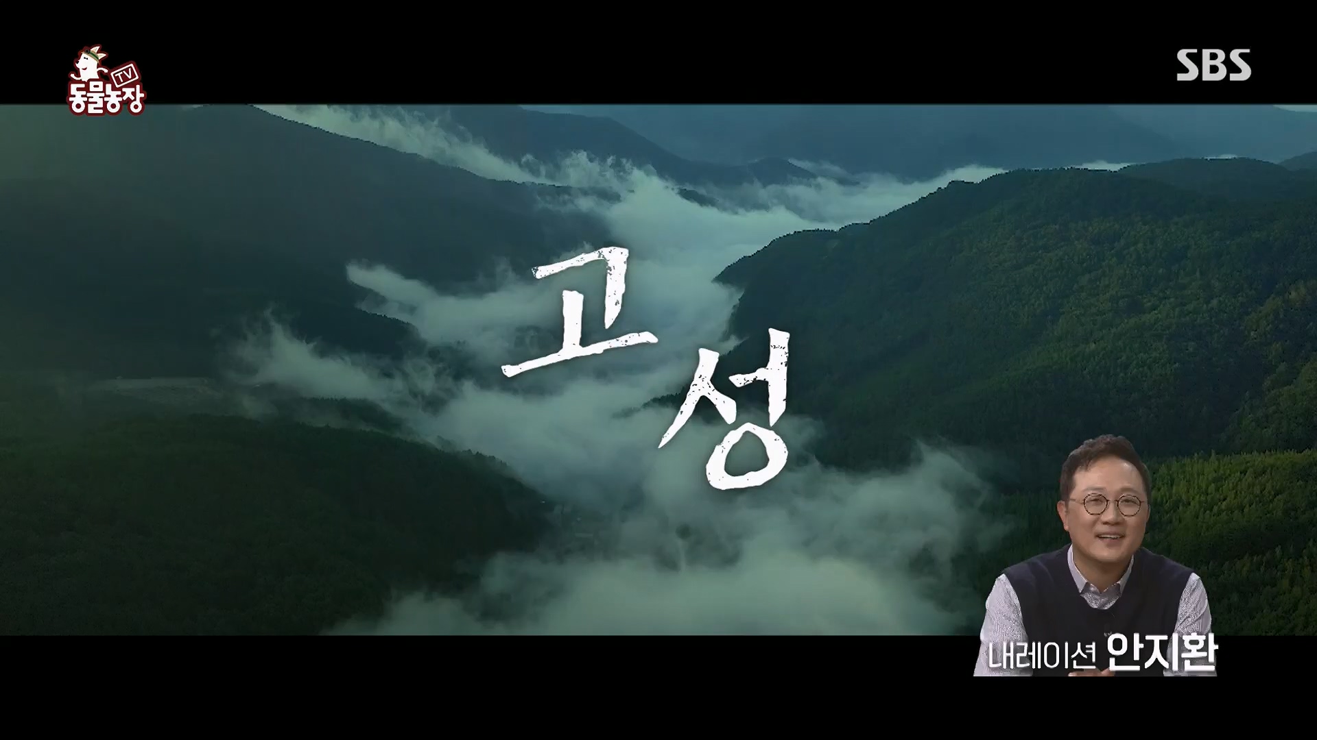 TV 동물농장.E1123.230604p.H264-F1RST.mp4_20230604_173300.649.jpg