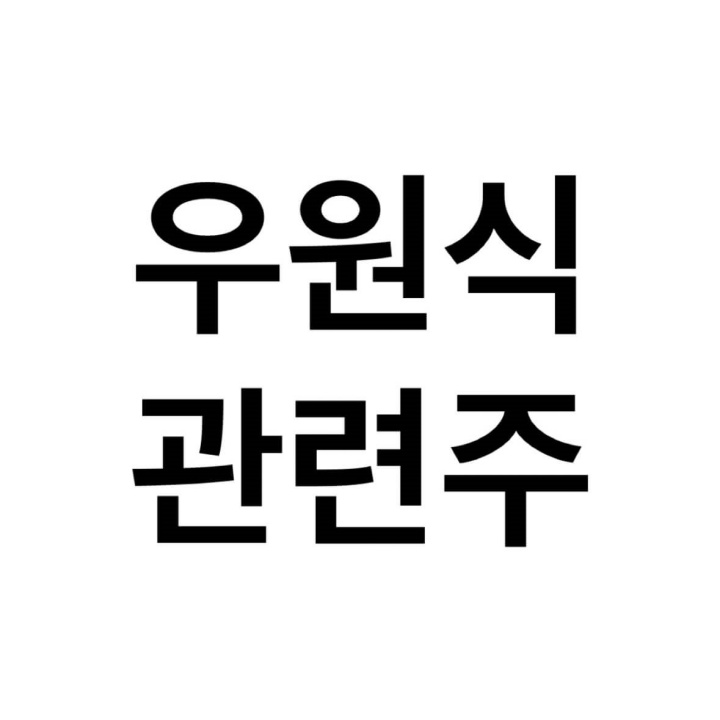 우원식-관련주