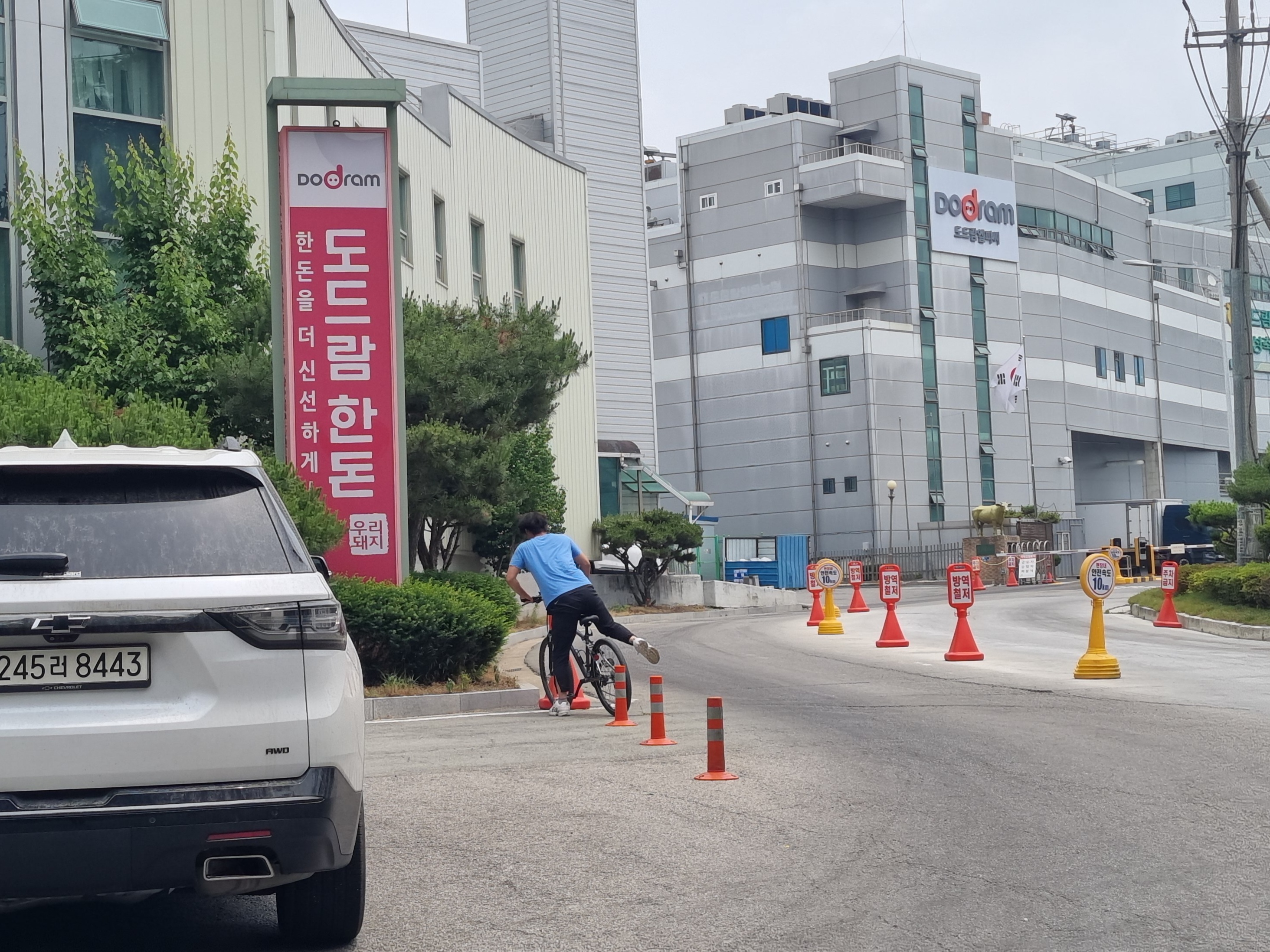 길38 이미지