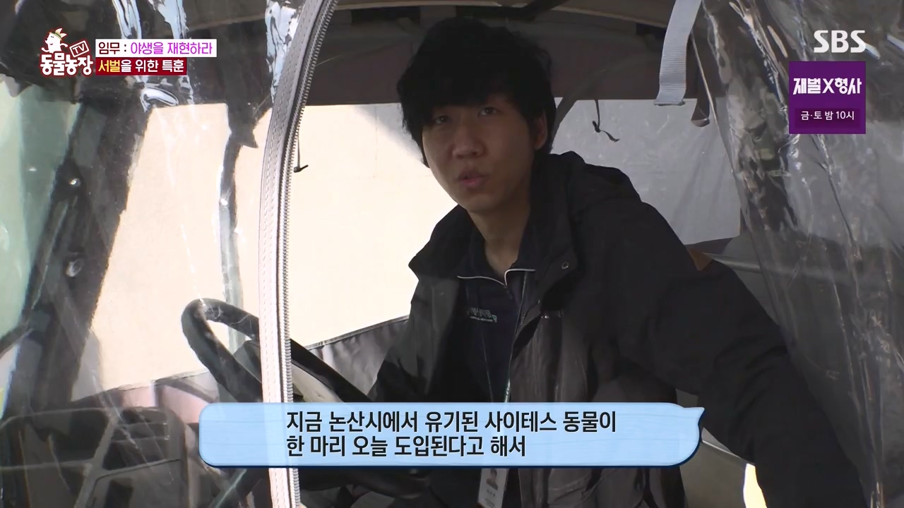 TV 동물농장.E1156.240129p-NEXT.mp4_20240128_191737.561.jpg
