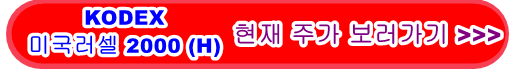 KODEX미국러셀 2000 (H)