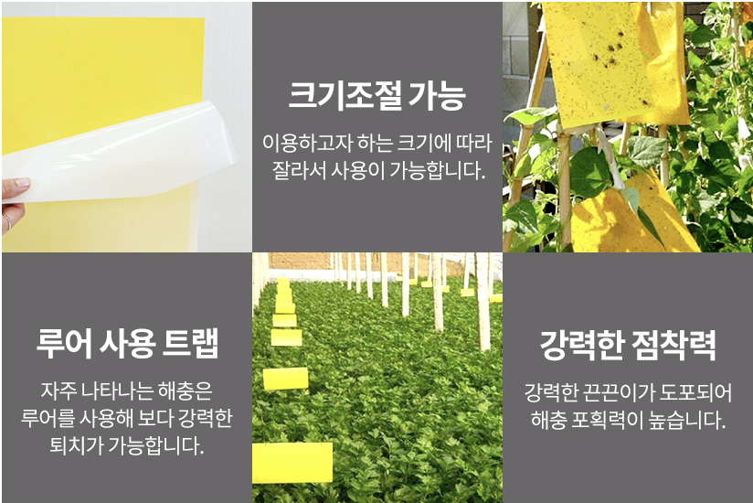 병충해를 일으키는 갈색 깃털 매미충 산란기 방제법