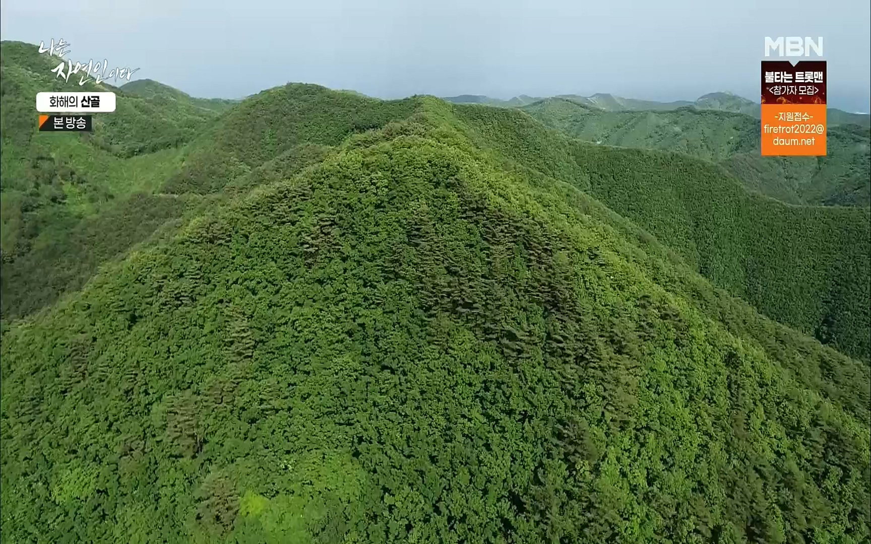 나는 자연인이다.E515.220817p.H264-F1RST.mp4_20220818_201917.413.jpg