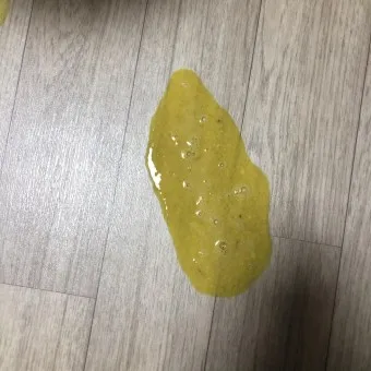 강아지 토 색깔 증상 강아지 토하는 원인과 구토 종류별 건강상태 살펴보기_15