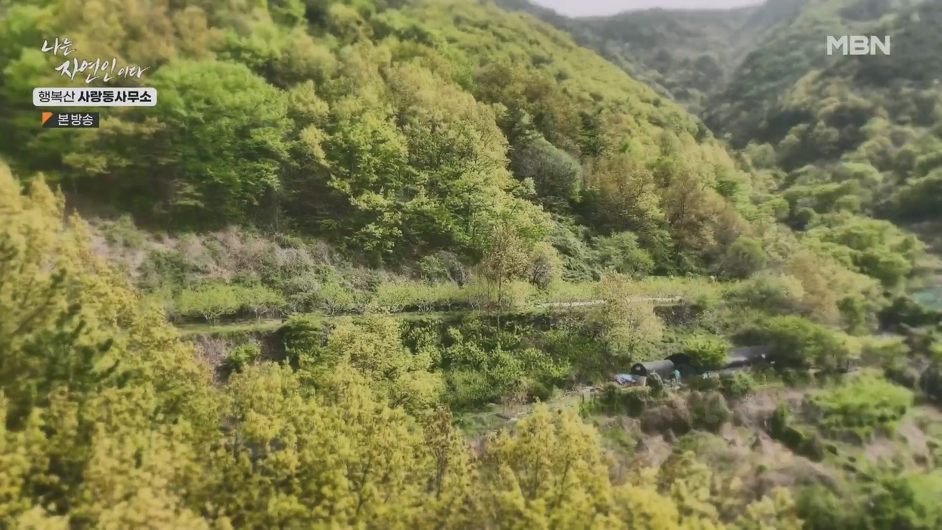 나는 자연인이다.E552.230503p.H264-F1RST.mp4_20230504_200302.383.jpg