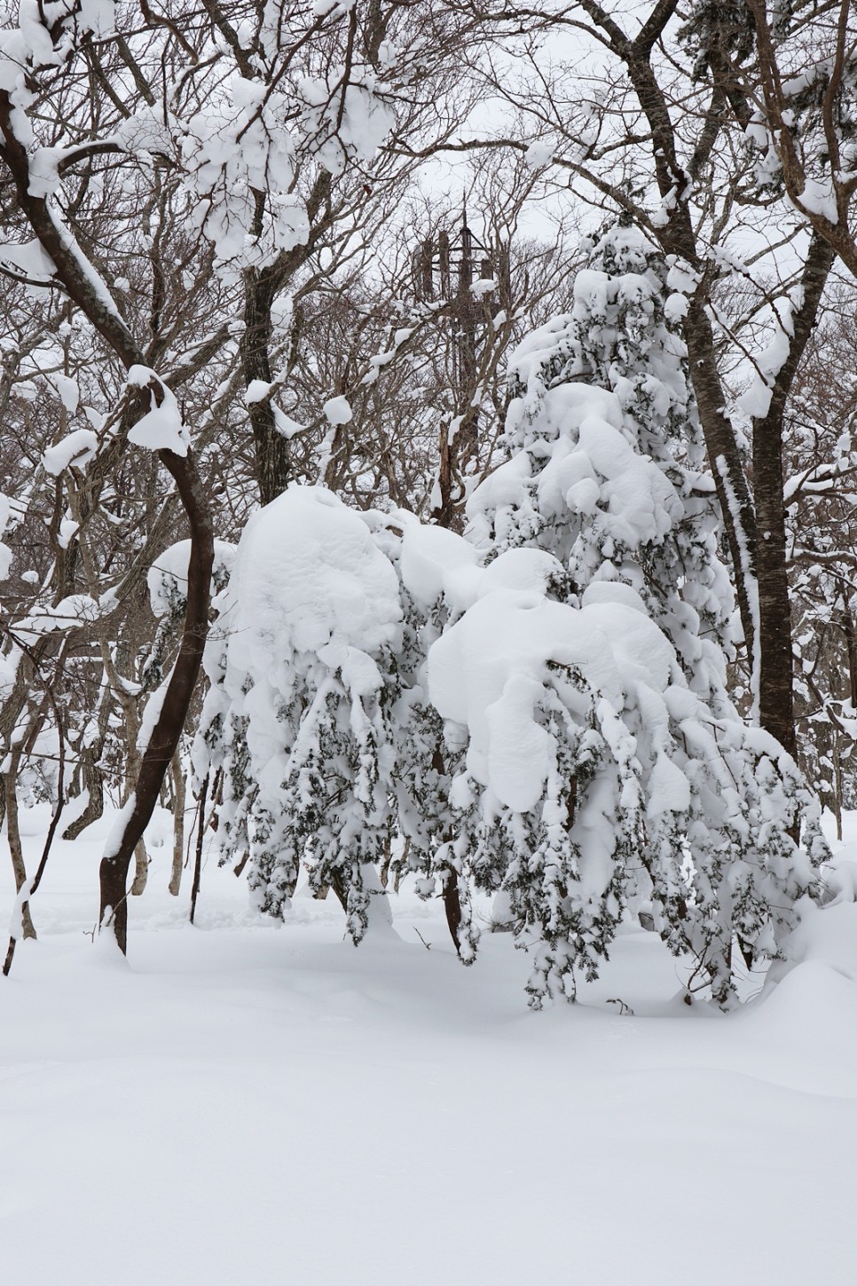 눈쌓인 겨울산 이미지 84