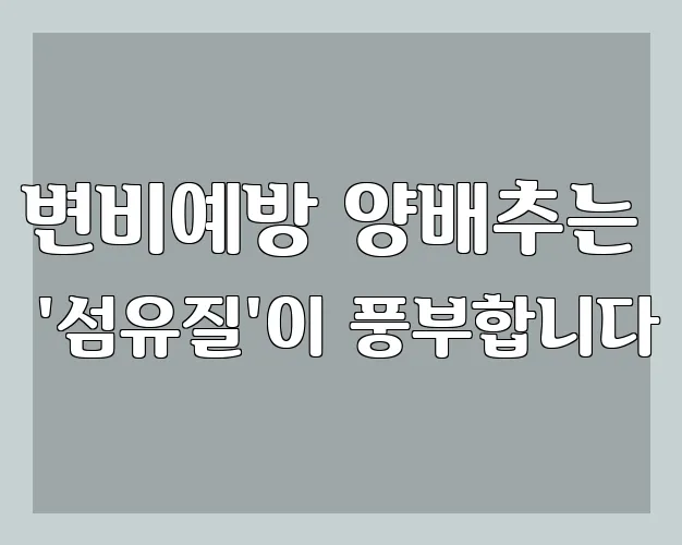 변비예방 양배추는 '섬유질'이 풍부합니다