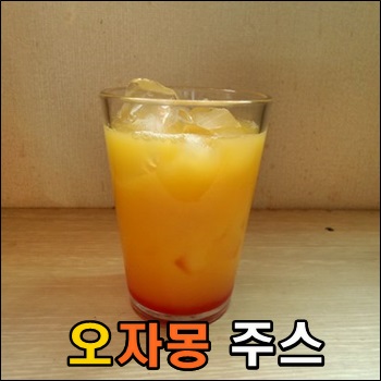  오렌지와 자몽의 만남 오자몽 주스
