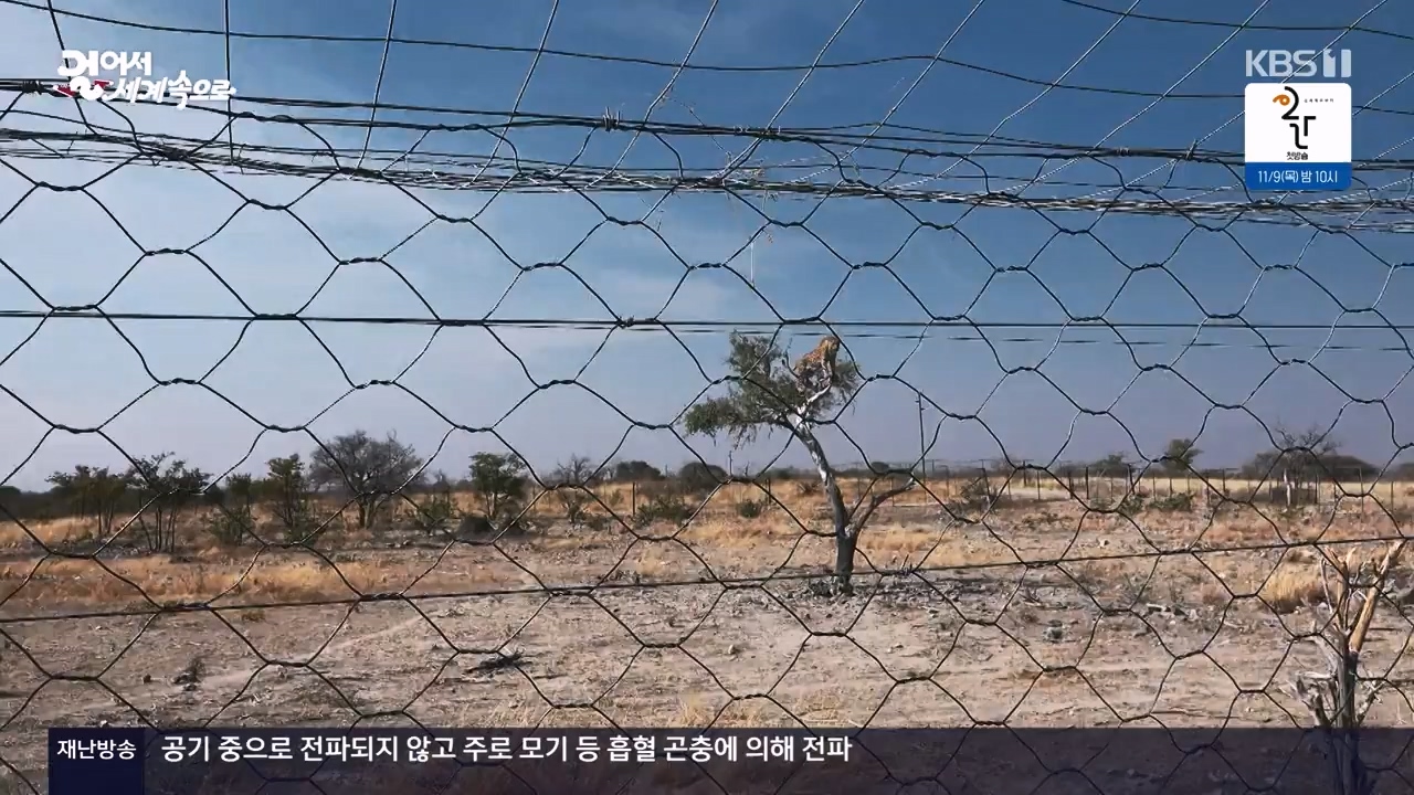 걸어서 세계속으로.E816.231105p-NEXT.mp4_20231104_175428.958.jpg