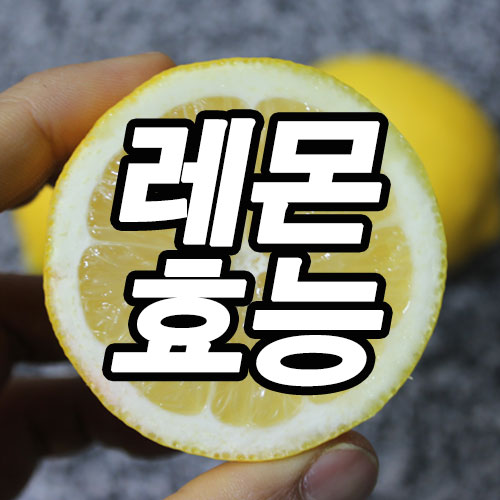  레몬 효능