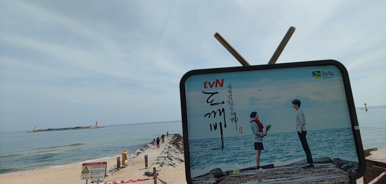  강릉안목해변주차장 정보 강릉카페거리  강릉여행 정보통