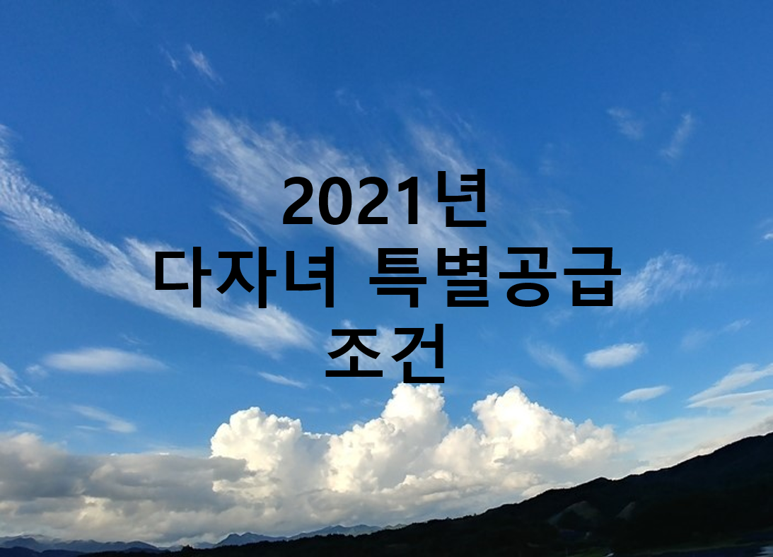  다자녀 특별공급 조건