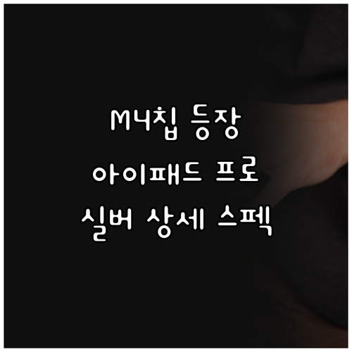 2024 아이패드 프로 M4칩 실버 