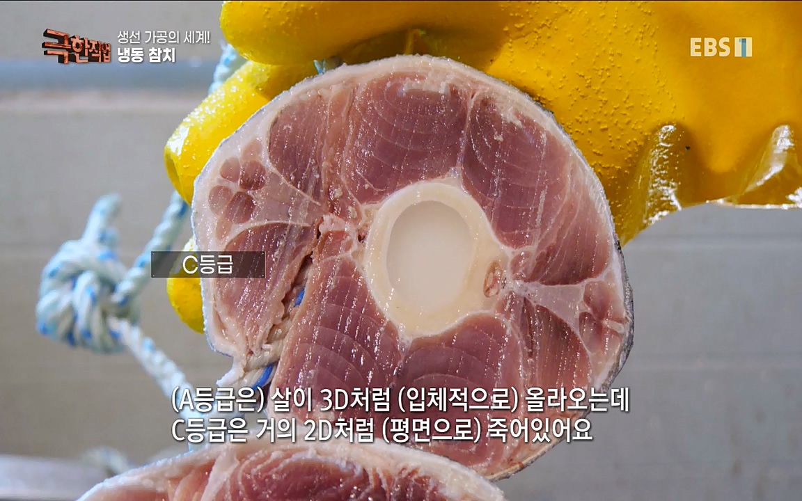 TV - 교육의 중심 EBS생선가공의 세계!-냉동참치, 참치액. 순살생선-.mp4_20220906_200520.757.jpg
