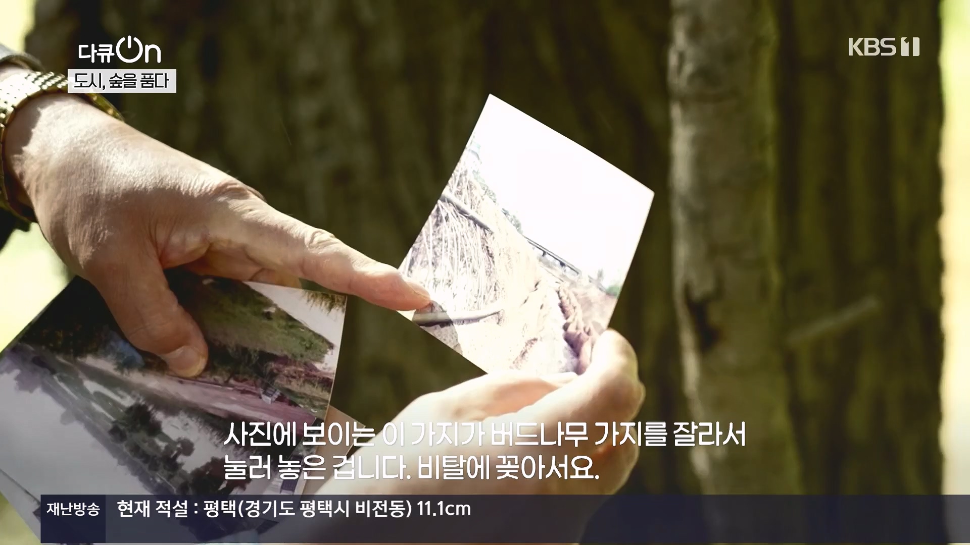 다큐 On.E232.231216p.H264-F1RST.mp4_20231220_212227.994.jpg