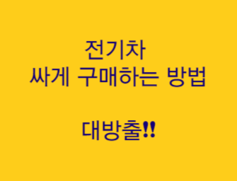  "[필독] 싸고 좋은 전기차 구매하는 방법과 장점,단점 알아보기"