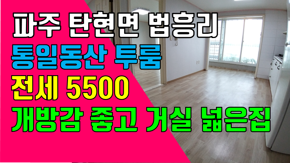  파주 탄현면 법흥리투룸 통일동산투룸 전세 5500만 개방감 좋고 거실겸 주방 넓은 살림집 넓은 투룸