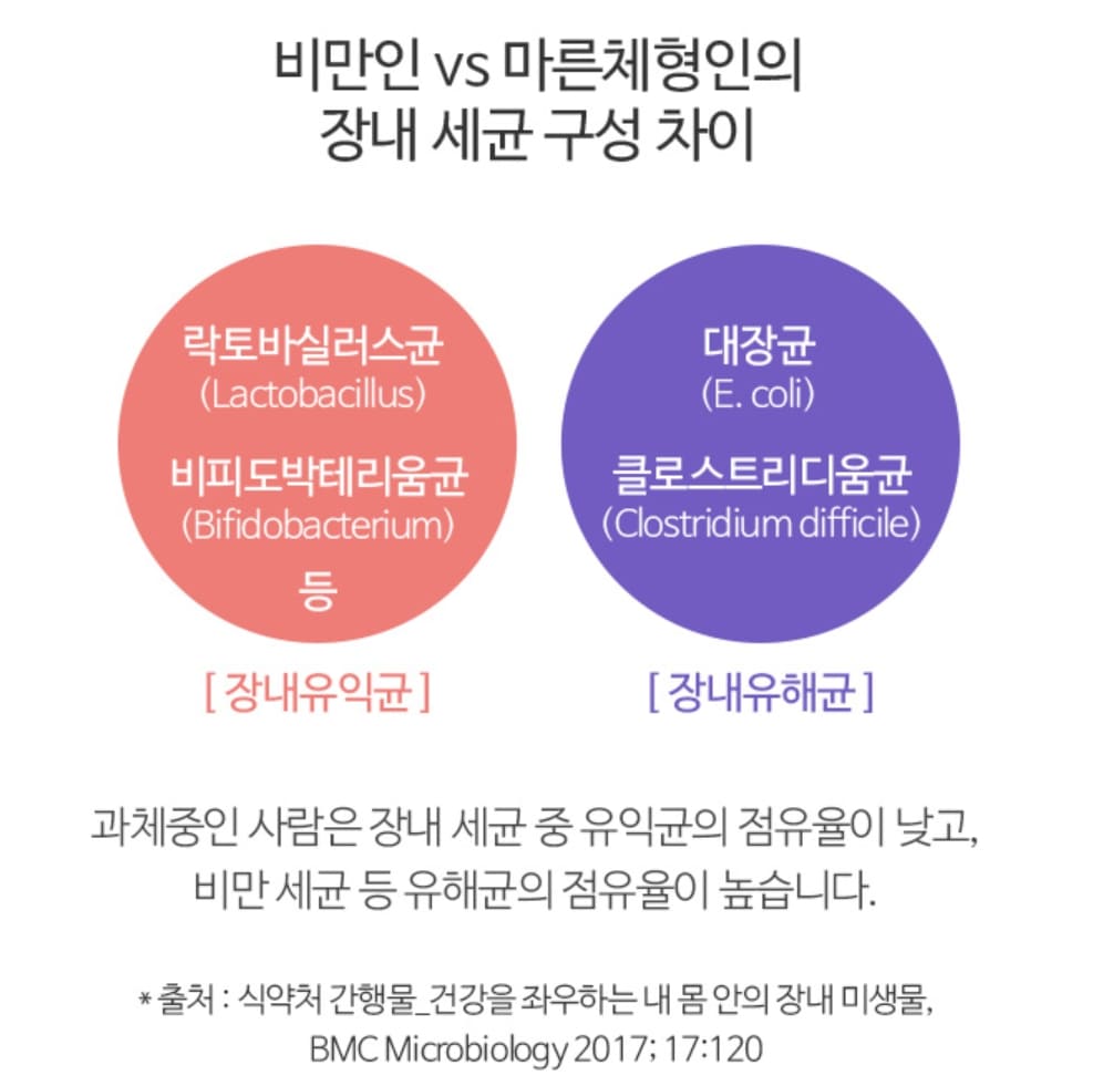 메타바이옴 V2 장 건강 효능