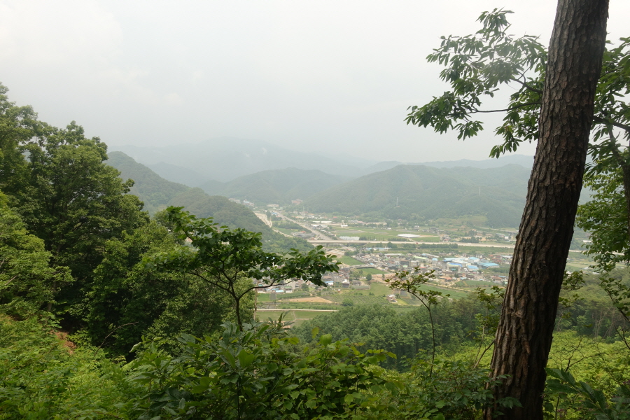 남산 정상 에서 이미지