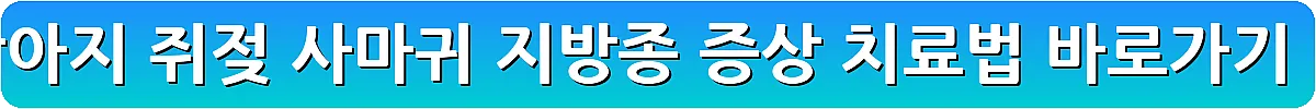 강아지 쥐젖 사마귀 지방종 증상 치료법_20