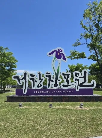 거창 창포원 노랑꽃창포 만개 시기와 관람 포인트_9