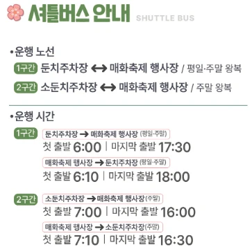 광양 매화축제 개화 상황(+실시간 CCTV) 2025