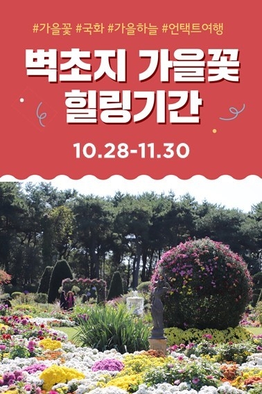 경기도 파주 벽초지수목원 가을꽃 국화축제 데이트 나들이 명소