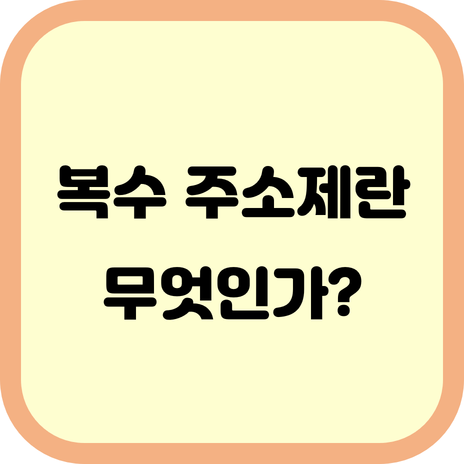 복수 주소제란 무엇인가?