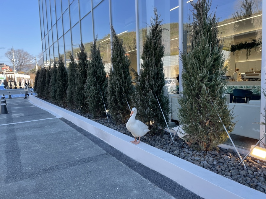 사랑 <느티나무의 > 31