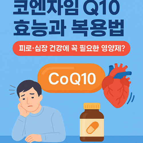 코엔자임 Q10 효능과 복용법 | 피로·심장 건강에 꼭 필요한 영양제?