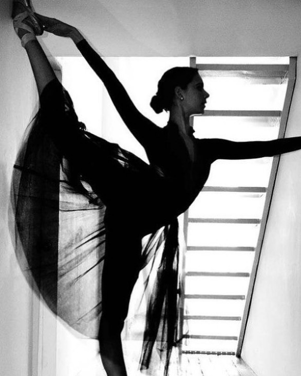 김도형 청장 경력