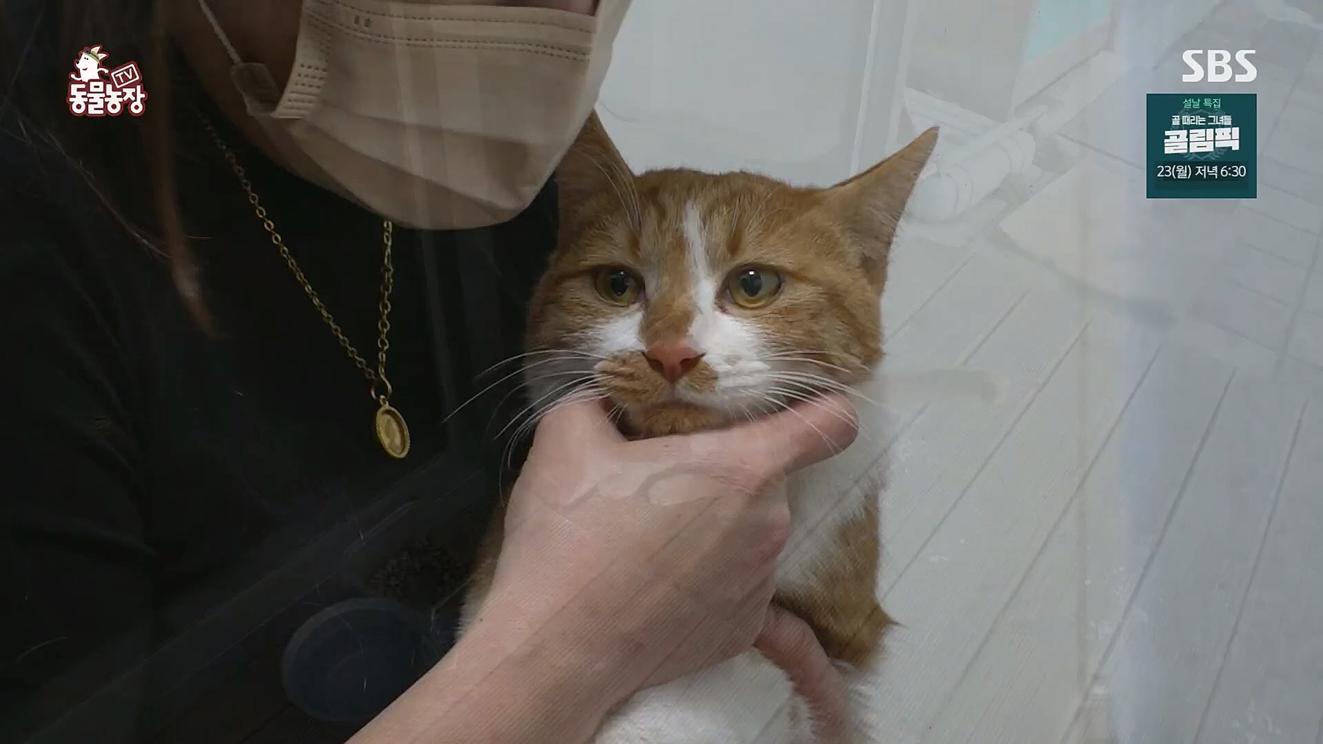 TV 동물농장.E1104.230115p.H264-F1RST.mp4_20230115_173212.463.jpg